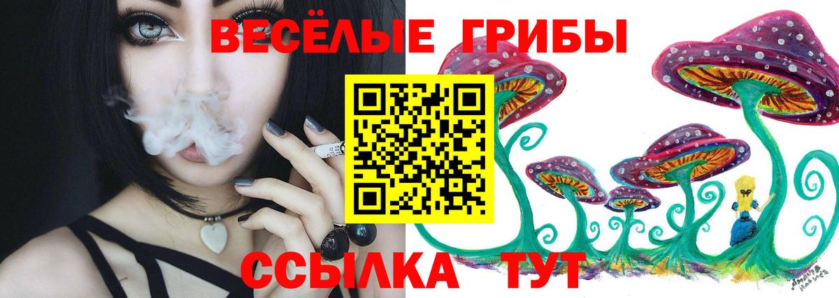Псилоцибиновые грибы MAGIC MUSHROOMS Шали
